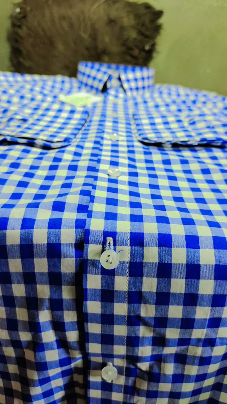 Ashkan Royal Gingham Blue Shirt