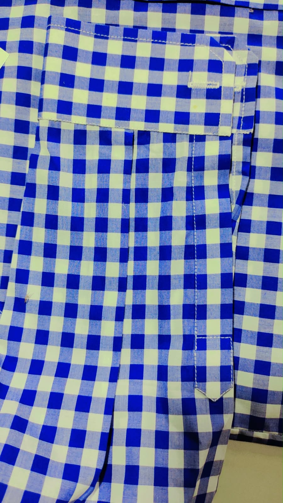 Ashkan Royal Gingham Blue Shirt